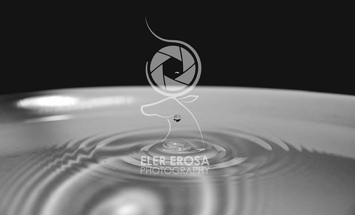 Eler Erosa